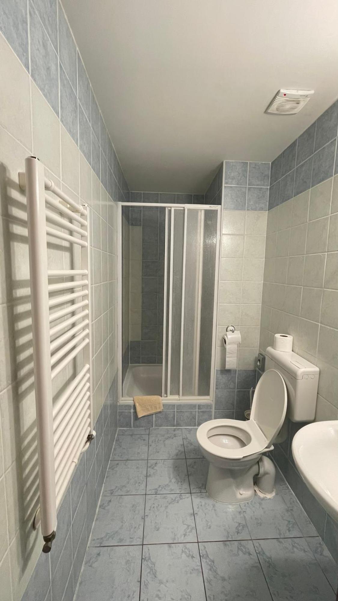 Hotel Cerny Orel Zatec Exteriör bild