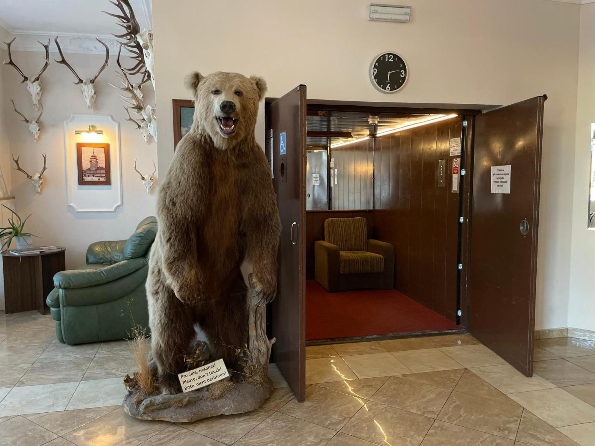 Hotel Cerny Orel Zatec Exteriör bild